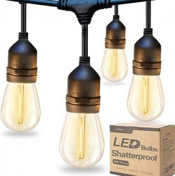 D3D9396E AE5B 4C41 B6B5 DC934CC9160F 1679970364 Edison Bulb String Lights with Dimmer